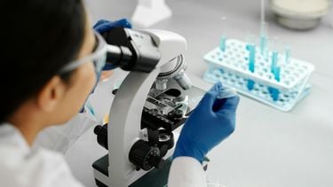 Wetenschappers hebben een doorbraak bereikt in Alzheimer-onderzoek. Het experimentele medicijn GL-II-73 herstelde geheugenverlies bij muizen.