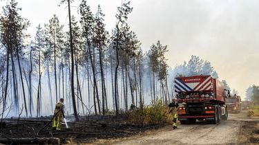 Extreem veel bosbranden deze maand