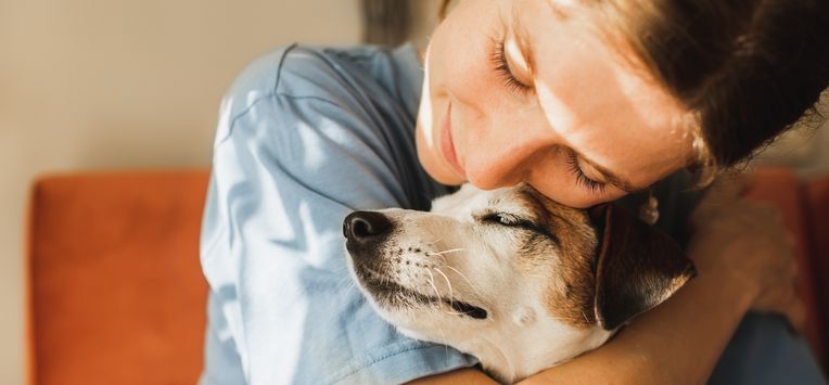 Ministerie waarschuwt: denk goed na voor je een huisdier neemt