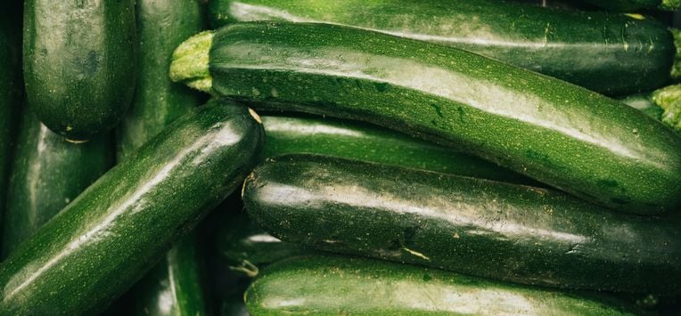 courgette, courgettes, giftig, vergiftiging