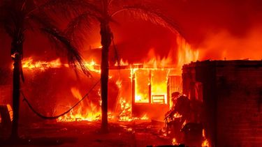 Brand Los Angeles Hollywood