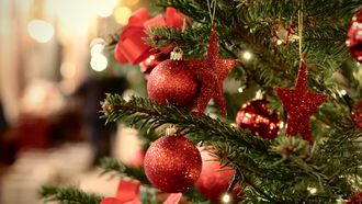 kerstbomen duurder