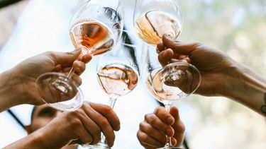 Wijn drinken voor de wetenschap? Dit Spaanse onderzoek zoekt vrijwilligers