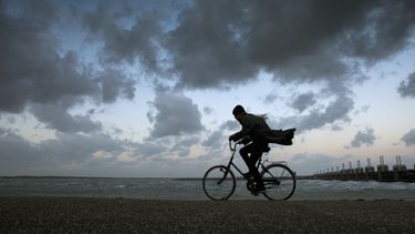 I più allenati, olandesi, fanno sport e fanno pochissimo esercizio
