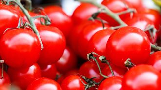Tomaten kunnen longschade bij ex-rokers herstellen