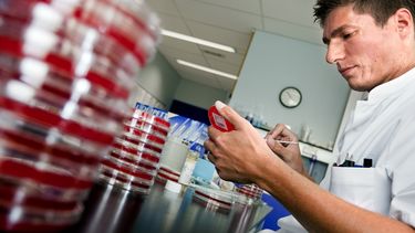 MRSA-bacterie duikt op onder studenten: wat is het en hoe krijg je het?