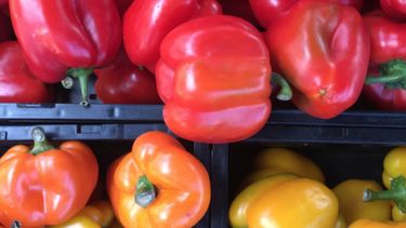 Waarom zijn ‘paprika’s met vlekjes’ onverkoopbaar?