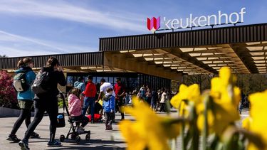 LISSE - Bezoekers in de Keukenhof. De Bloemententoonstelling is al jaren een geliefde bestemming in het paasweekend. REMKO DE WAAL / ANP
