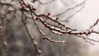 Het is koud en glad: code oranje in sommige delen van het land