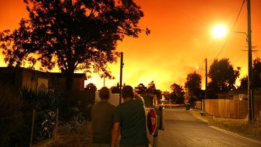 Residents look at the sky illuminated by wildfires in Le Porge, south-western France early on July 23, 2026. A fast-moving wildfire has burned 900 hectares north of Arcachon Bay in southwestern France, forcing the evacuation of more than 4,000 residents and tourists. The blaze, described by firefighters as exceptionally intense, spread sixfold in less than three hours through dense pine forests and is now advancing toward Ares and Lege-Cap-Ferret. The area was previously devastated by major wildfires in 2022.
ROMAIN PERROCHEAU / AFP