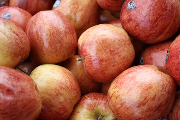 appel, gezond, feiten en fabels over voeding, eten