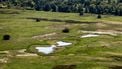 Water voor wild op de Veluwe