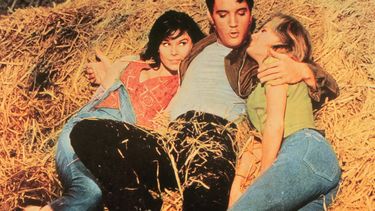 TV-avond: ‘Elvis Presley speelde in Home Alone’