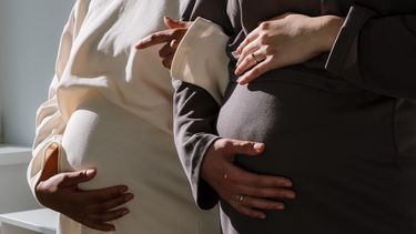 Twee vrouwen die zwanger zijn