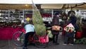 kerstboom mooi houden kerstboomkweker