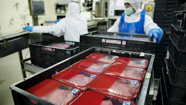Personeel vleesbedrijven in gevaar.