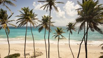 Vakantie naar de Caraïben? Kies dan Barbados tips