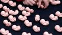 Geen straf vanwege fraude voor Casa abortuskliniek