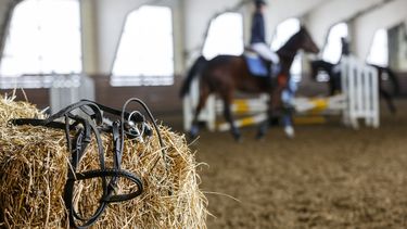 Manegehouder redt paarden uit brandende stal