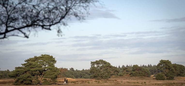 Nederland doet nog te weinig om natuur echt te verbeteren: stikstof daalt niet genoeg
