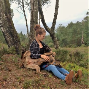 Marinke van der Meer