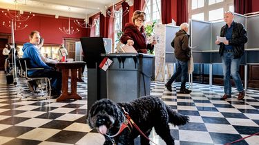 LEIDEN - Kiezers brengen hun stem uit op een kleiner stembiljet voor de gemeenteraadsverkiezingen in een stembureau bij het Oude UB gebouw in Leiden. Kiezers kunnen in 11 gemeenten stemmen met een nieuw, kleiner stembiljet. RAMON VAN FLYMEN / ANP