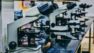 kanker farmaceutische industrie kankerbehandeling AVL-ziekenhuis