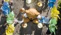 Knuffels gestolen van kindergraven Den Helder