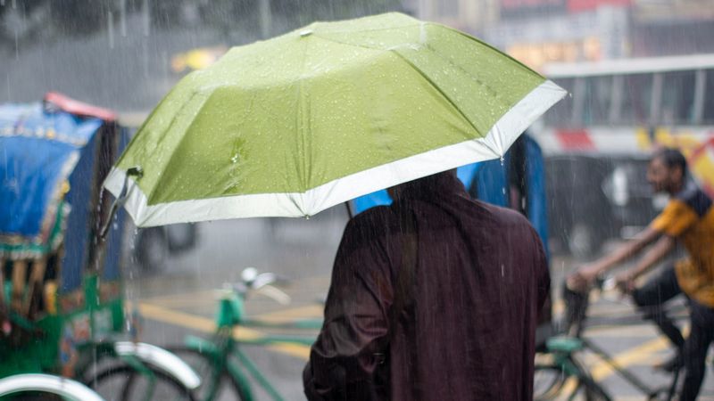 Regen, weer, lente, paraplu