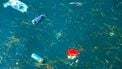 115 plastic bekertjes, vier plastic flessen, 25 plastic zakjes, twee teenslippers, een nylon tas en meer dan duizend andere stukken plastic werden er gevonden in de maag van een aangespoelde dode potvis. Foto: Colourbox