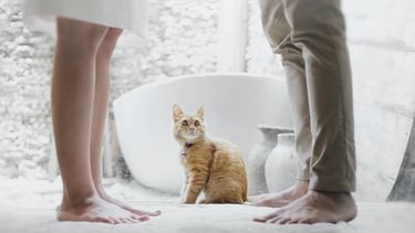 partners hebben ruzie en relatietherapie nodig