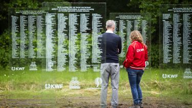 kanker kwf wilhelminabos