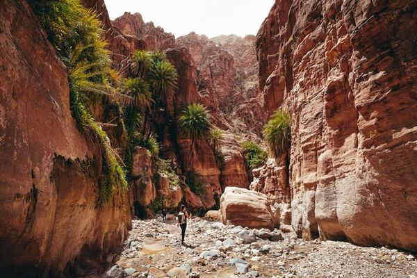 hikingtrail-jordanie
