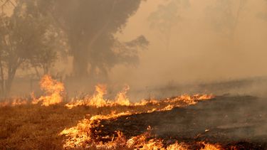 Door bosbranden en luchtvervuiling geen vuurwerk in Australië 