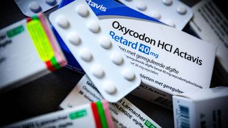 pijnstillers, antibiotica, ibuprufen, paracetemol