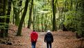ERMELO - Dagjesmensen in het Speulderbos. Het zachte najaarsweer lokt wandelaars tijdens de herfstvakantie naar buiten. ANP SEM VAN DER WAL