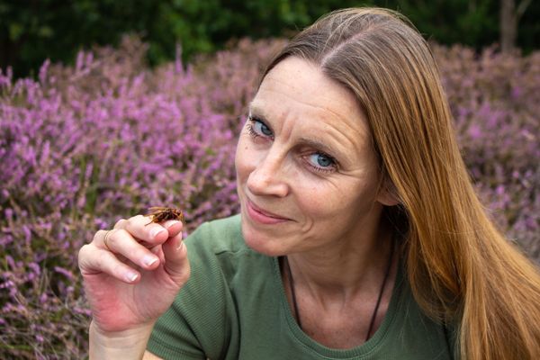 Aglaia Bouma insect Naturalis