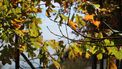 Herfst-weer