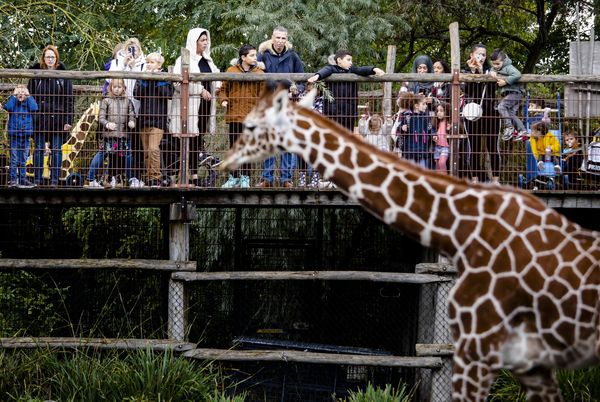 Overzicht: wanneer pretparken / dierentuinen open?