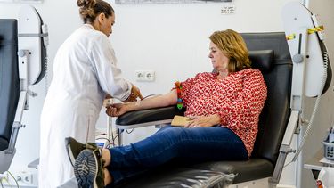 donor bloeddonor Sanquin