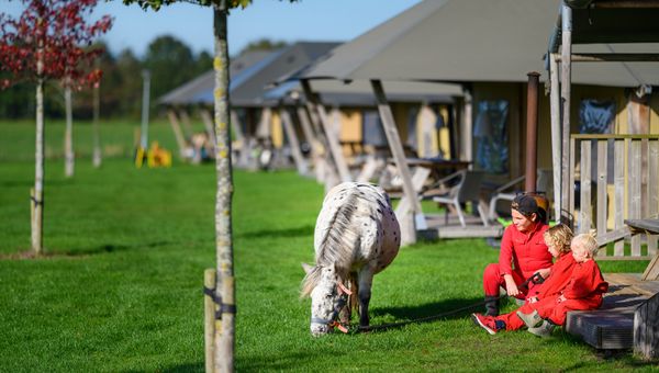 Winactie: een overnachting bij FarmCamps én kaartjes voor Het Geheim van de Wondere Wereldboom