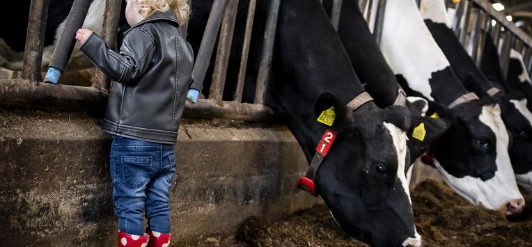 boerderij erfdelen