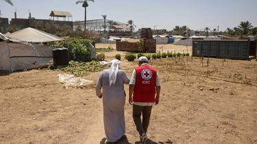 Osama Al-Mukhalalati (R) an economic security officer with the International Committee of the Red Cross (ICRC) walks along with Salem Muhanna, who manages the Al Qarara Seed Bank, in a field in Deir el-Balah, central Gaza Strip on August 11, 2026. From a small makeshift tent in the central Gaza Strip, a dedicated team works to carefully store and document some of the war-shattered territory's most precious commodities: local seeds. Shelves of unassuming plastic tubs line the walls of the Al Qarara Seed Bank, each holding indigenous seeds seen as a way of reviving Gaza's devastated farming sector and preserving its agricultural heritage. The seed bank in Deir el-Balah is rebuilding its stocks of Gaza's heirloom seeds that were destroyed during the Israel-Hamas war which erupted in October 2023.
Bashar Taleb / AFP