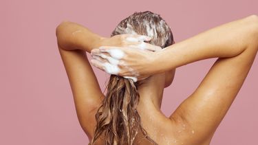 shampoo haar shampoo prijs maak het uit
