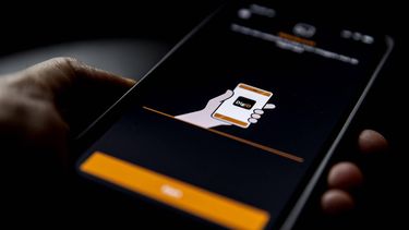 ILLUSTRATIE - Inloggen bij MijnOverheid met een DigiD om post van de overheid digitaal te kunnen ontvangen. ANP KOEN VAN WEEL
