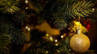 Kerstboom