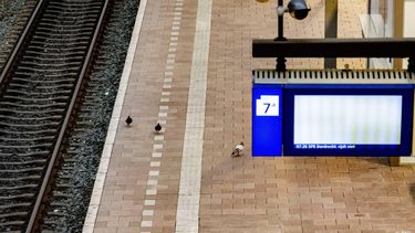 ROTTERDAM - Een vrijwel leeg station op Rotterdam Centraal in verband met NS-stakingen in regio West. Personeel van de Nederlandse Spoorwegen legt plaatselijk het werk neer. Het gaat om estafettestakingen van 24 uur. ANP ROBIN UTRECHT