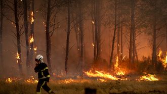 bosbrand Frankrijk Bordeaux
