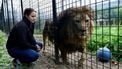Stichting Leeuw haalt verwaarloosde Simba uit Irak