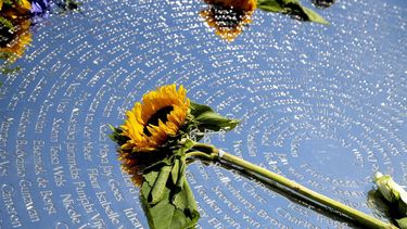 Rusland MH17